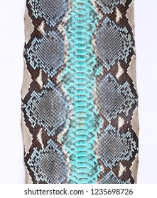 Snake Skin Texture Python On White Background