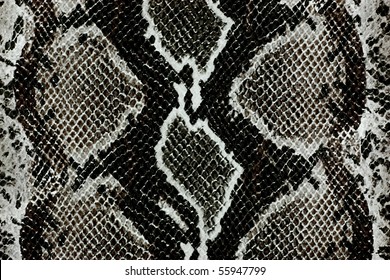 17,297 Grey Snake Skin Images, Stock Photos & Vectors | Shutterstock