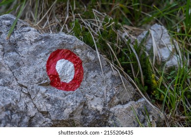 Snake Warning Sign In The Grass Field