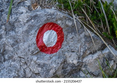 Snake Warning Sign In The Grass Field