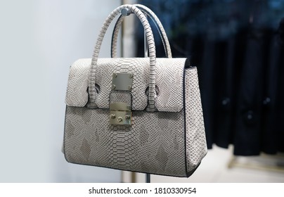 Snakeskin Bag On Shop Window        