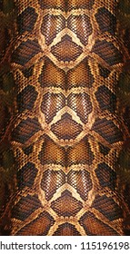 Snakeskin Leather Animals