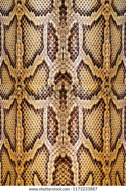 Snakeskin Leather Fashion Stock Photo (Edit Now) 1173233887