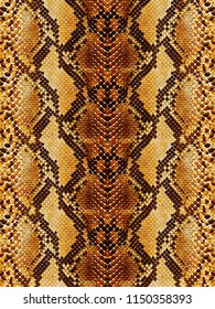 Snakeskin Leathers Background
