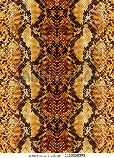 Snakeskin Leathers Background Stock Photo (Edit Now) 1150358393