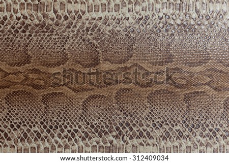  Snakeskin pattern texture background