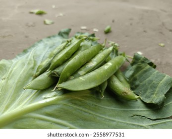 Snap peas are also known as sugar snap peas and are a cross between snow peas and garden peas. The whole pod is eaten and has a crunchy texture and very sweet flavor.  - Powered by Shutterstock