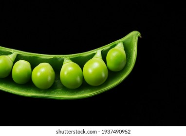 Snap peas on a black background with copy space. Close-up, image of snap peas.