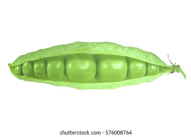 Snap Peas, Pisum Sativum Var. Macrocarpon Also Known As Sugar Snap Peas, Are A Cultivar Group Of Edible-podded Peas.