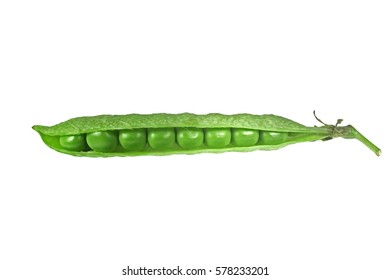 Snap Peas, Pisum Sativum Var. Macrocarpon Also Known As Sugar Snap Peas, Are A Cultivar Group Of Edible-podded Peas.