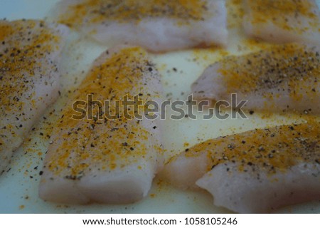 Snapper fish filet