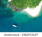 Snapper Island The Great Barrier Reef Tropical North Queensland Port Douglas Turquoise Waters White Sand Aerial Drone Photography Boat Landscape Nature Australia Blue Green White Beach Coral Reef