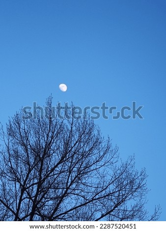 snapshot of sun and moon over Wageningen, Netherlands