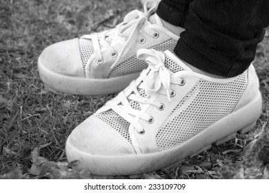 Sneakers