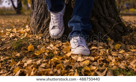 Sneakers. Autumn Park. Yellow leaves.