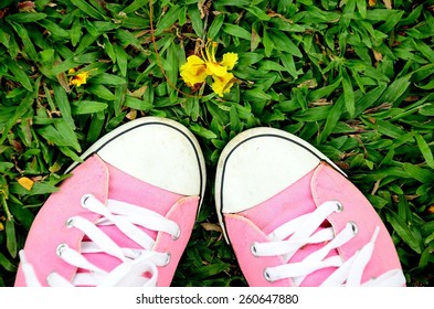 Sneakers Shoes Old Pink Color Footwear Fashion Converse Foot Green Lawn Style Future  Walking Worn Pink