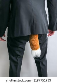 Sneaky Businessman In Black Suit With A Fox Tail.  Concept For Economic / White Collar Crime, Fraud And Black Market. White Background.