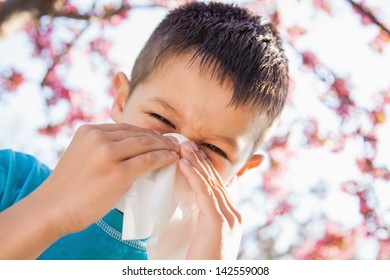 The Sneezing Little Boy With Having Spring Allergy