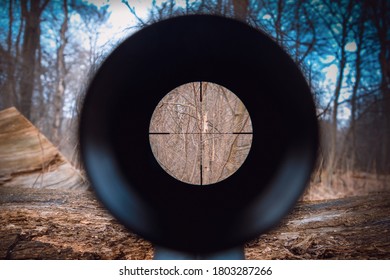 Sniper Gun Scope View. Hunting In The Forest.