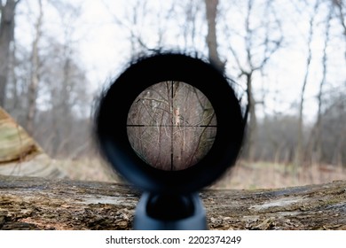 Sniper Gun Scope View. Hunting In The Forest.