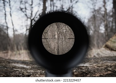 Sniper Gun Scope View. Hunting In The Forest.