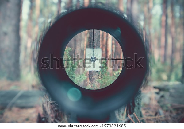 Sniper gun scope view, target
