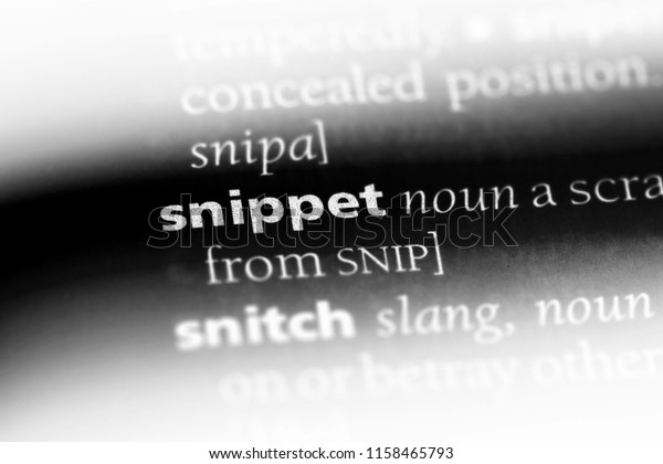 snippets meaning