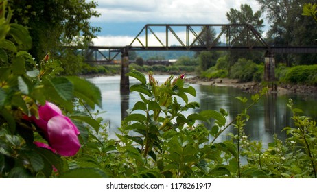 Snohomish River Bridge In The Spring