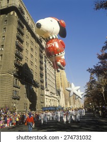 Snoopy And Woodstock Balloons In Macy's Thanksgiving Day Parade, New York City, New York