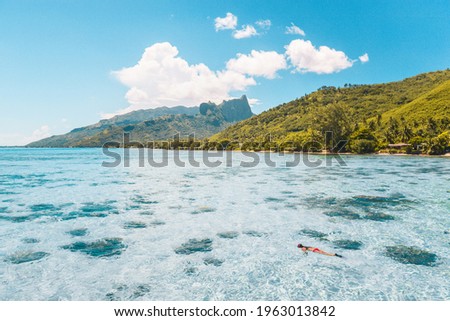 Snorkel person snorkeling swimming with diving mask in coral reefs water full of sealife and fish. Watersport activity active lifestyle travel vacation. Tropical destination. Moorea, French Polynesia