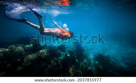 A snorkeler diving down to get a better look at some coral in the beautiful tropical blue Mexican ocean near Riviera Maya on vacation.