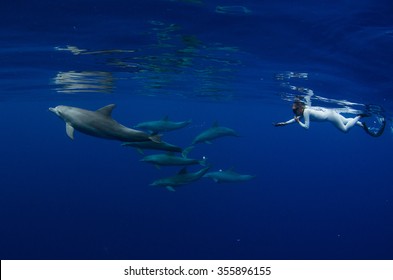 A Snorkeler Freedives Together With Indo Pacific Bottlenose Dolphins In The Crystal Clear Blue Waters Off Reunion Island.