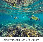 Snorkeling sea adventure in a coral reef in Thailand picture taking with gopro underwater photography 