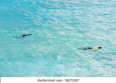 Snorkeling, Southern Coast Of Barbados, Caribbean