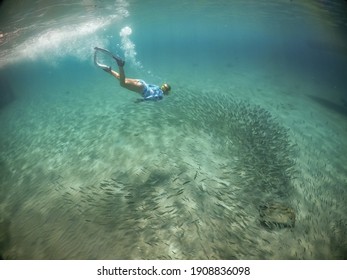 Snorkeling With Turtles And Fish On Curacao 