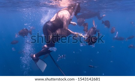 Snorkeller surrounded by big fishes after fish feeding
