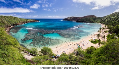 Snorkelling at the coral reef of Hanauma Bay, a former volcanic crater, now a national reserve