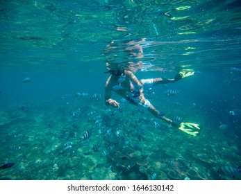 Snorkling Fish Feeding Belitung Underwater