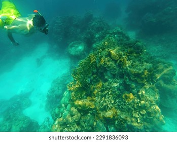 Snorkling en la reserva