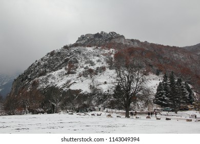 ืnature with snow