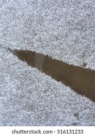 The snow