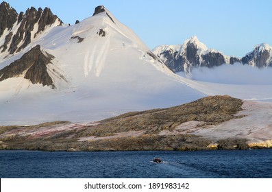 Snow Algae Blooming In Antarctica