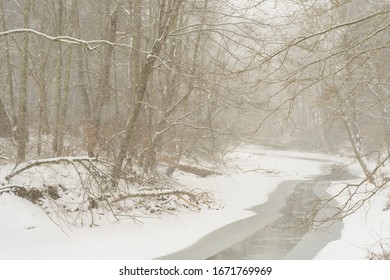 Snow Along Gauley River, Webster County, West Virginia, USA