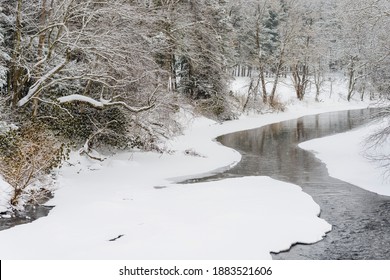 Snow Along Gauley River, Webster County, West Virginia, USA