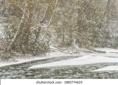 Snow Along Gauley River, Webster County, West Virginia, USA