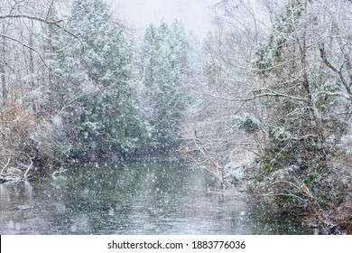 Snow Along Gauley River, Webster County, West Virginia, USA