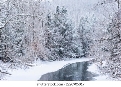 Snow Along Gauley River, Webster County, West Virginia, USA