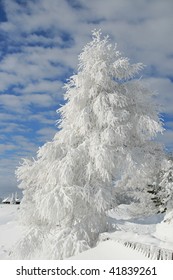 snow in the alps