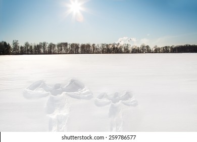 Snow Angel