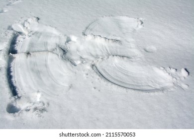 Snow Angel On Fresh Snow, Close Up.